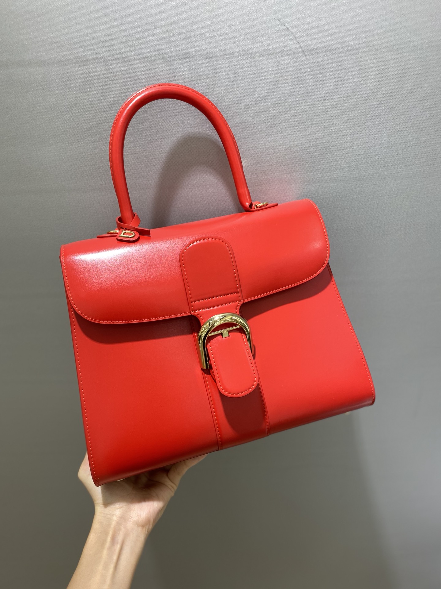 델보 브리앙 박스백 미듐